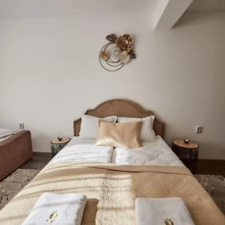 Sona Confort Apartment *