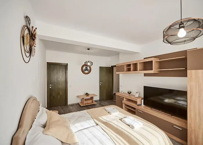 Sona Confort Apartment Brasov