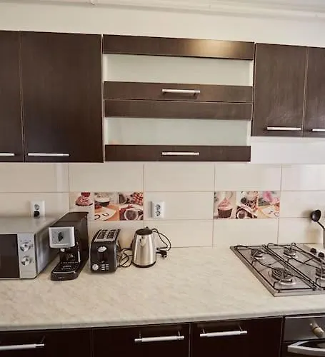 Sona Confort Apartment Brasov