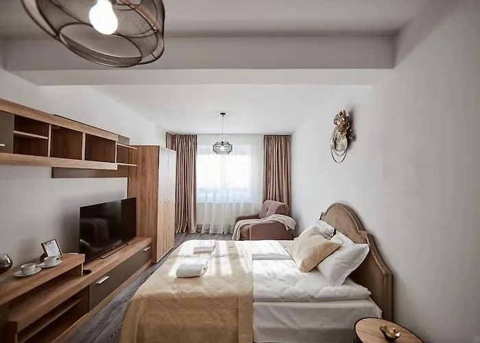 Apartment Sona Confort Brasov